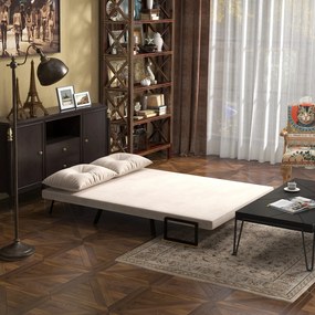 HOMCOM Sofa 2 osobowa z funkcją spania aksamitna z 2 poduszkami w kolorze naturalnym beżowym czarnym | Aosom PL