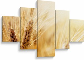 Obraz - szczegóły ziarna (125x70 cm)