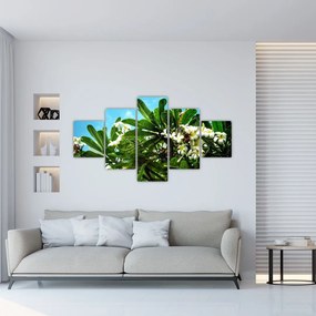 Obraz - Plumeria (125x70 cm)