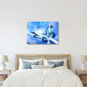 Obraz na szkle - Motyl, symbol nadziei (70x50 cm)