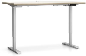 PLAN Biurko z regulacją wysokości SINGLE LAYERS, 160x80 cm, 2 silniki, dąb naturalny/dąb bejcowany
