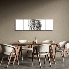 Obraz - Biały Tygrys (170x50 cm)