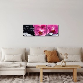 Obraz - Różowe orchidee z liściem palmy (z zegarem) (90x30 cm)