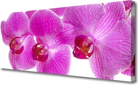 Obraz canvas Świeżość Wiosennych Kwiatów