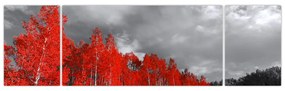 Obraz - Drzewa w kolorze jesieni (170x50 cm)