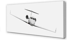 Obraz drukowany na płótnie Sylwetka Samolotu pod Niebem