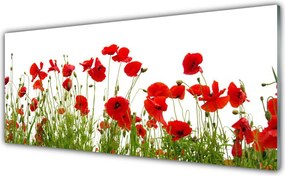Panel Szklany Czerwone Maki w Letnim Polu