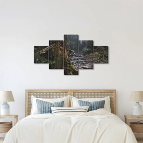 Obraz - W lesie (125x70 cm)
