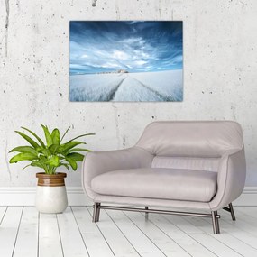 Obraz na szkle pola (70x50 cm)