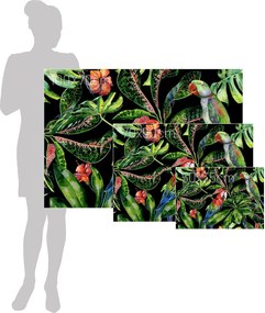 Obraz na płótnie Tropical Birds