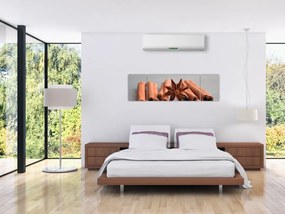 Obraz cynamonu (170x50 cm)
