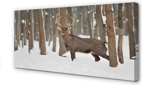 Duży obraz na płótnie Zimowy Las i Jeleń
