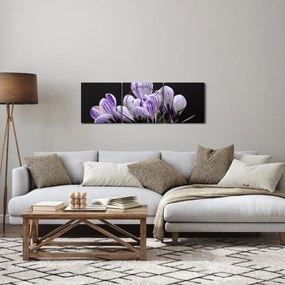 Obraz - Fioletowe krokusy (z zegarem) (90x30 cm)