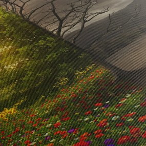 Obraz - Cykl życia (170x50 cm)