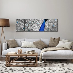 Obraz - niebieski paw (170x50 cm)