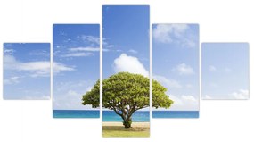 Obraz plaży z drzewem (125x70 cm)
