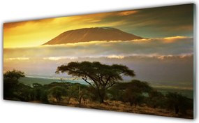 Panel Kuchenny Drzewo Na Górskim Szczycie