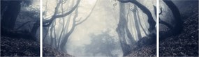 Obraz- Las we mgle (170x50 cm)