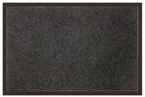 Wycieraczka TELIO, 80 x 120 cm