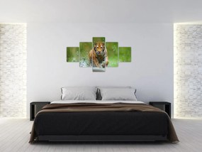 Obraz - Biegnący tygrys (125x70 cm)