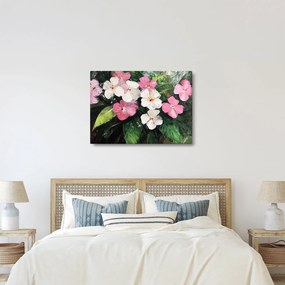Obraz - Różowe i białe kwiaty (70x50 cm)