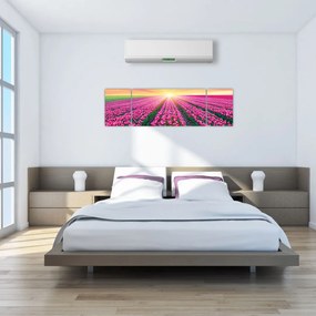 Obraz pole tulipanów ze słońcem (170x50 cm)