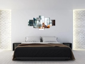 Obraz - Wiewiórka (125x70 cm)