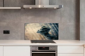 Szklany Panel Zarys Głowy Postaci