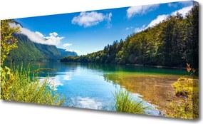 Obraz canvas Barwny Dywan Tulipanów