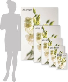 Plakat Elegant Flowers
