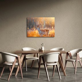 Obraz - Jeleń na polu (70x50 cm)