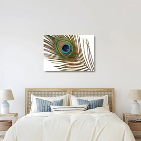 Obraz na szkle - pawie pióra (70x50 cm)