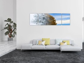 Obraz - Zmiana pór roku (170x50 cm)