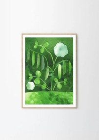 Plakat 50x70 cm Peas in Bloom – Anna Ravn Bjørn – The Poster Club