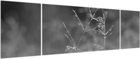 Obraz - Wiejska łąka (170x50 cm)