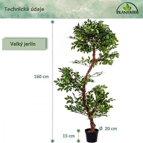 PLANTASIA Sztuczne drzewo yerlin, 160 cm