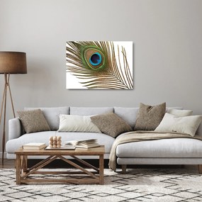Obraz na szkle - pawie pióra (70x50 cm)