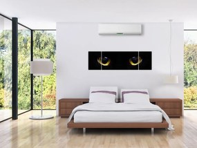 Obraz - Kocie oczy (170x50 cm)