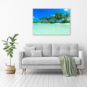 Foto obraz szklany Tropikalna plaża