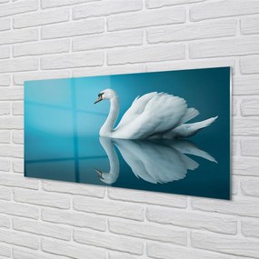 Panel Szklany Łabędź w wodzie