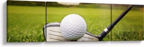 Obraz - Golf (170x50 cm)