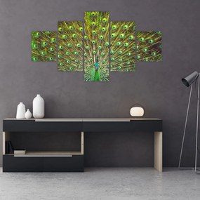 Obraz - Paw (125x70 cm)