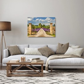 Obraz na szkle - Lawendowe ścieżki (70x50 cm)