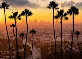 Obraz na szkle - Panorama Los Angeles (70x50 cm)