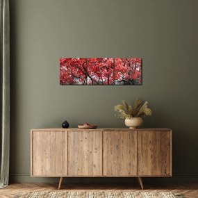 Obraz - Czerwone drzewa, Central Park, New York (z zegarem) (90x30 cm)