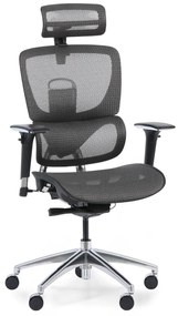 Krzesło biurowe wielofunkcyjne WINSTON SA, szary