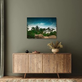 Obraz na szkle - palmy (70x50 cm)