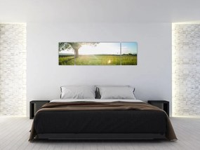 Obraz letniej łąki (170x50 cm)
