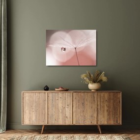 Obraz na szkle - Kropla rosy (70x50 cm)
