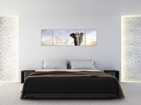 Obraz - Słonie w wielkim mieście (170x50 cm)